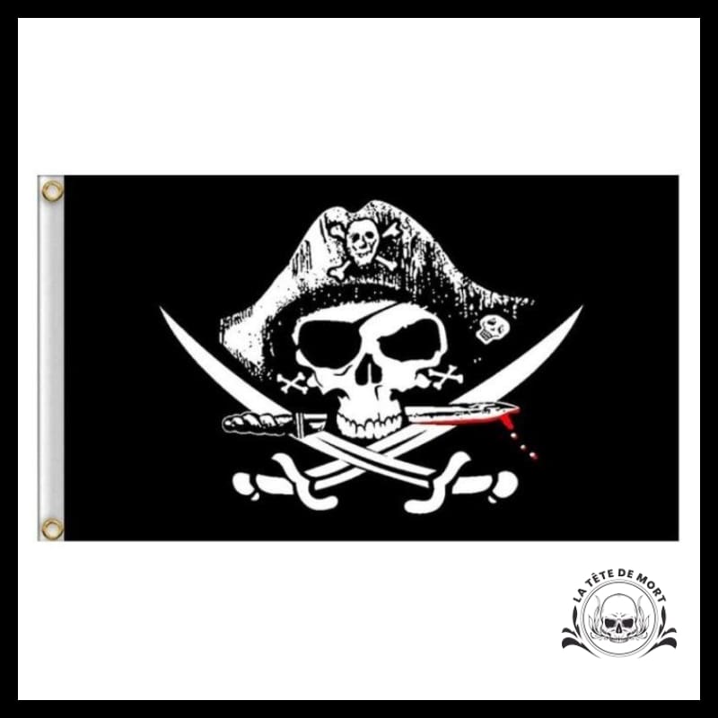 Runesol Drapeau Pirate, 91x152cm, 3ft x 5ft, Tête de Mort et os Croisés, 4  œillets en Laiton dans Chaque Coin, Drapeaux de Fête, Décorations