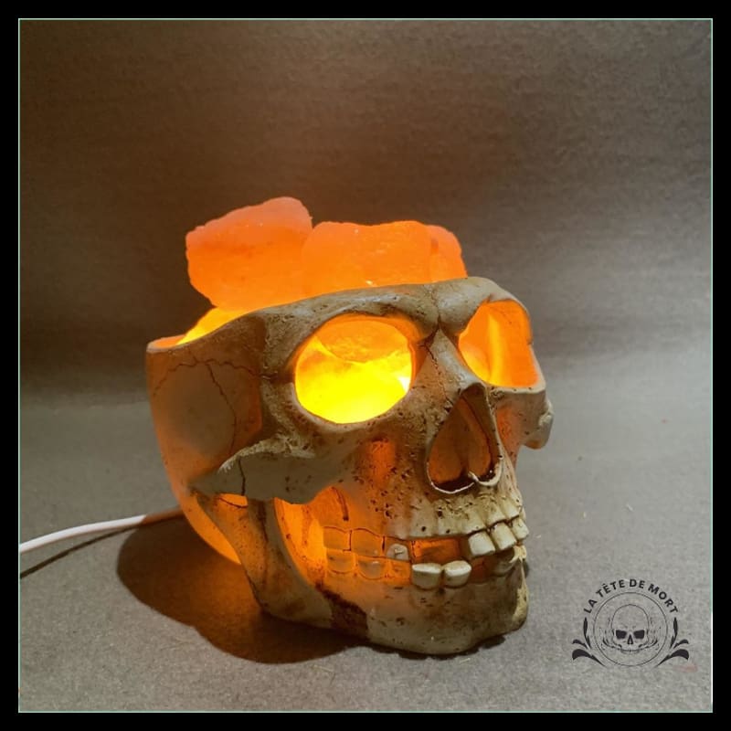 Lampe tête de mort tête squelette crâne LED - 3 modèles au choix !