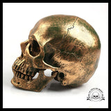 Sculpture Tête de Mort Crâne Bronze