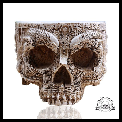 Sculpture Tête de Morte Crâne Pot Fleur Aztèque